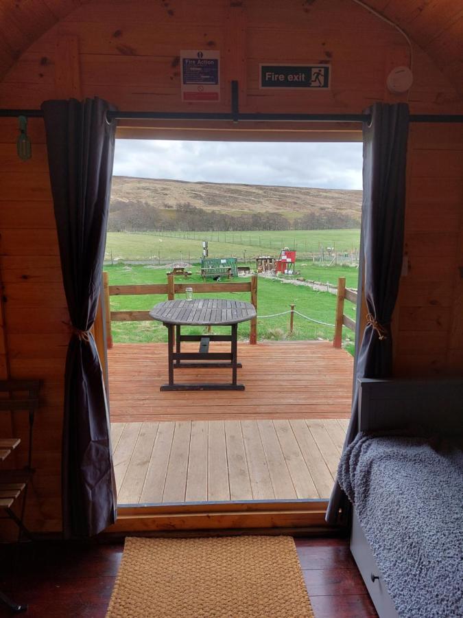 Luxury tent Pod 4 *